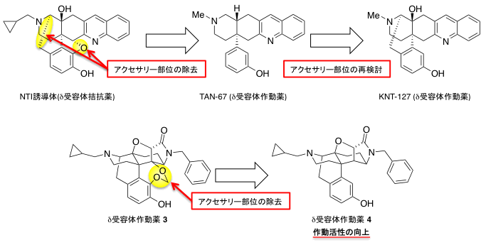 化合物設計